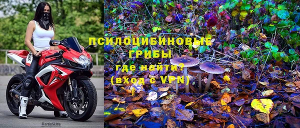 ешки Алексеевка