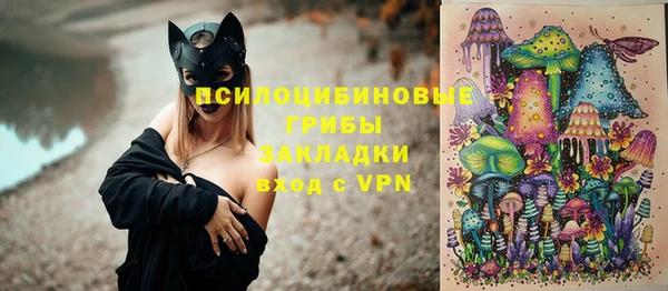 ешки Алексеевка