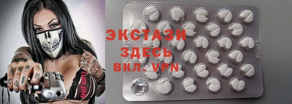 стаф Алзамай