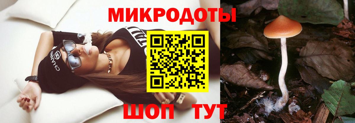 где купить наркотик  Вход с VPN  Галлюциногенные грибы прущие грибы  Тутаев  Псилоцибиновые грибы мухоморы 